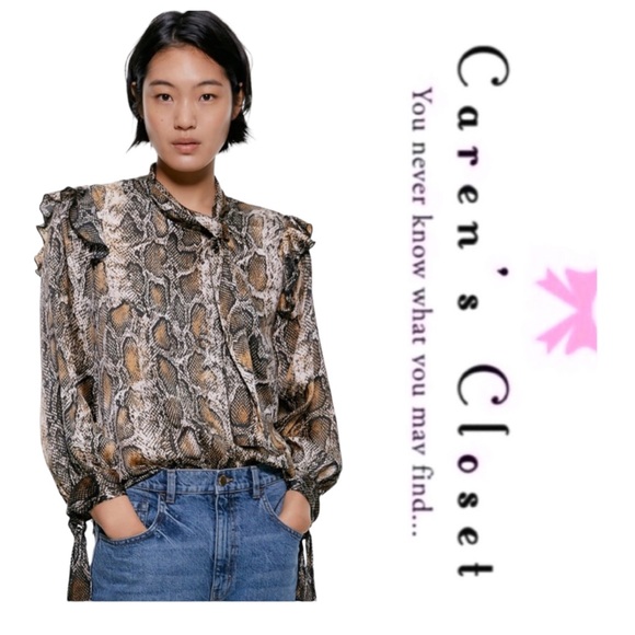 Zara Tops - Zara Snake Print Blouse - Brown and Black